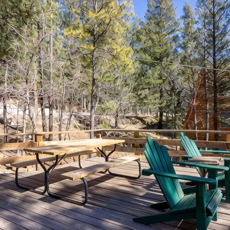 Family Cabin Hiking, Biking, Skiing and Hunting!