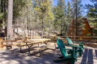 Family Cabin Hiking, Biking, Skiing and Hunting! - Alphydda