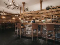 Vaya St Zeno Serfaus - بار