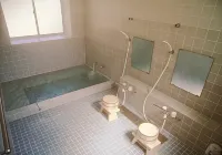 Petit Hotel Yubara Resort - Hot Springs