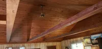Lake Michigan Cottage Private Beach. Book Your Fall Getaway Now. - Homestays