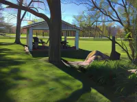 Dunlop Motel - Motels