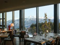 Crans Ambassador - Kæledyr tilladt