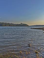 Bird Island at Hongluo Lake