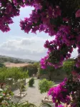 Casa Santa Giulia Hotels in Viggianello