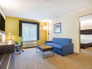 Holiday Inn Express & Suites Albany Airport - Wolf Road