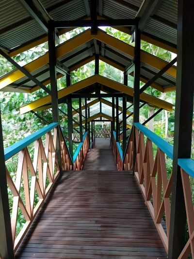 共有エリア セピロック ジャングル リゾートの写真