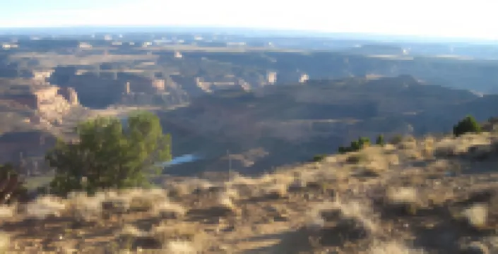 Super 8 by Wyndham Fruita