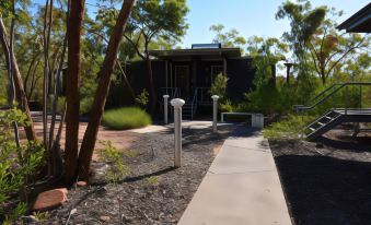 Cicada Lodge
