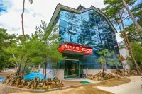 정선 워터펜션 아라리촌 주변 호텔