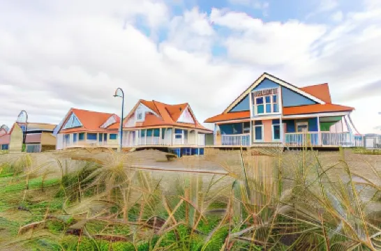 漢普頓之家民宿套房 鄰近Texel Zoo的酒店