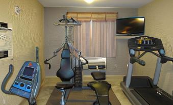 Lakeview Inns & Suites - Fort Nelson