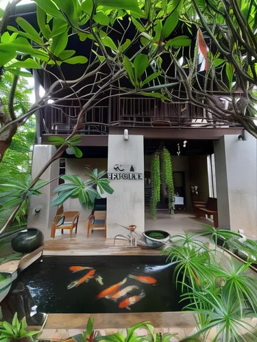 รูปภาพของบ้านฮานิบะ