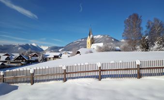 Holiday Home in Bad Mitterndorf Near Ski Area