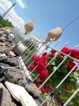 ULAŞ Cave Hotel
