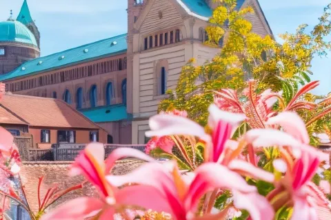 Hotel Domhof
