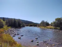 New Cabin | Sleeps 8 | Private Acreage | Mountain Views | Water Frontage