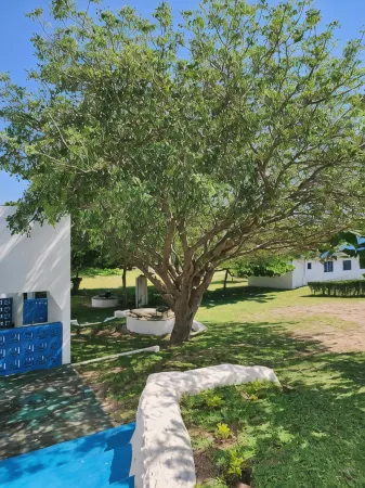 Serenity Nhabanga, Bilene Отели в г. Bilene Macia