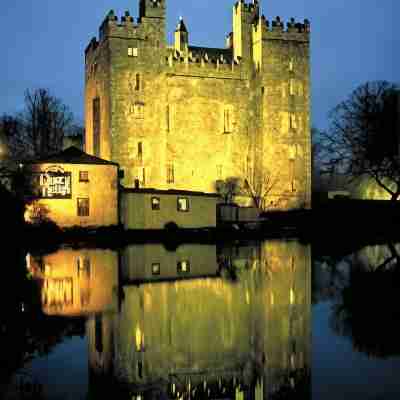 Treacys Oakwood Hotel, Shannon Hotel Exterior