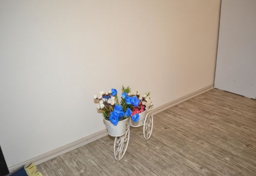 유어 하우스 인 트빌리시 이미지4