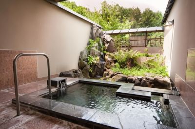 Spa Hotel Sunbird Photo