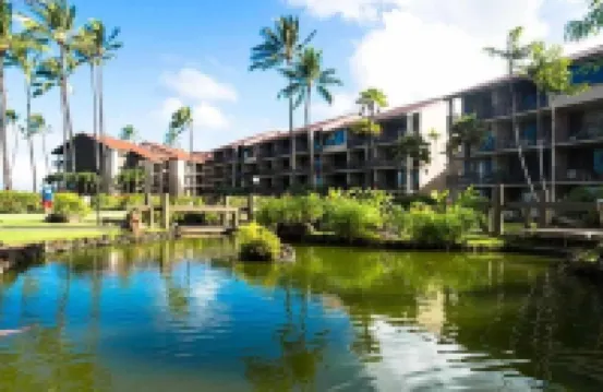 Maui! Whale Watching from Your Lanai—Beautiful Oceanfront Escape! No Resort Fee!