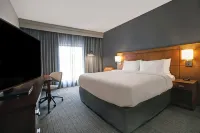 Courtyard Chicago Elmhurst/Oakbrook Area Hotel di Addison
