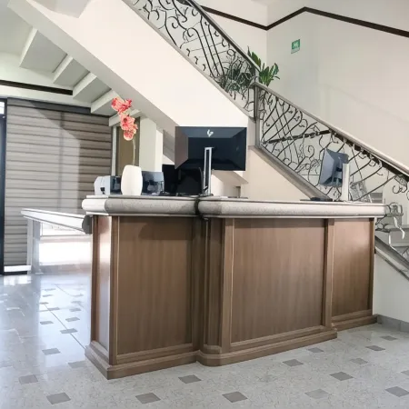 Hotel Grand Lion