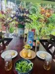 Forest Side Ecolodge