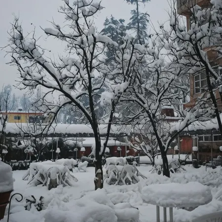 Bravia Hotel Manali Inn