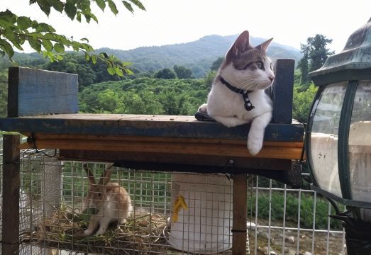 베르체 주변 경관