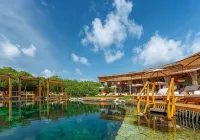 Hotel Shibari - Restaurant & Cenote Club - Luxury