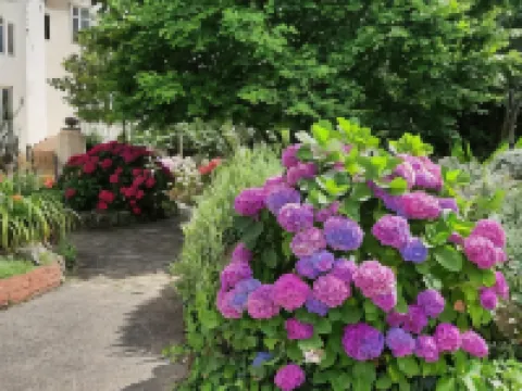 Hôtel de La Barbacane Hotels in Vendee