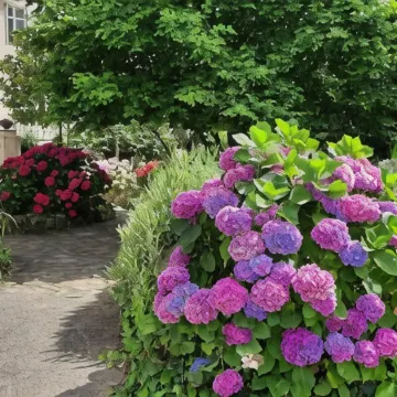 Hôtel de La Barbacane