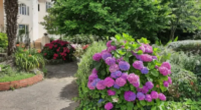 Hôtel de La Barbacane