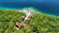 Cozzy Raja Ampat Blue Sea