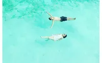 코스모스 방갈로