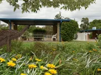 Orana Windmill Motel فنادق في غيلغاندرا