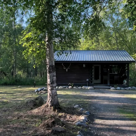 Cozy, pet-friendly, 2-bedroom cabin in beautiful Palmer, Alaska