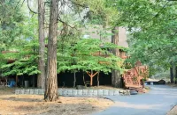 The Cabin Life- Dog Friendly w/3BR+loft & Hot Tub
