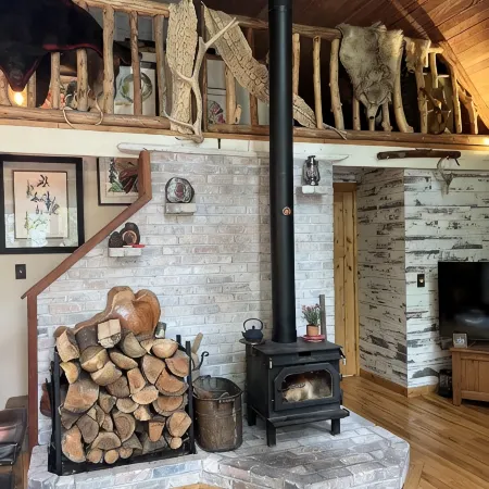 Cozy cabin at Lake Cushman in Hoodsport, WA with AC, Wi-Fi, kayak, beach, hottub