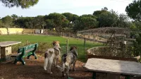 Spacious villa with large garden & private pool-quiet area near Quinta do Lago - 3 tähden