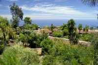 Finca El Lance the green oasis in the north of Tenerife