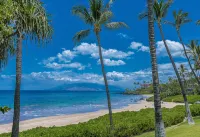 Fabulous Ocean Views, Steps From Polo Beach, Luxury 2 Bed 2 Bath