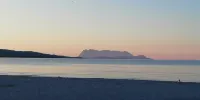 Sardinia! Budoni 1 km from the wonderful beach of Sant'Anna: 4 beds - Homestays