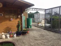 Ferien Bungalow Wilhelm Mitten im Hunsrück - 2-Star