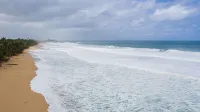 Rose Nest at the beach Puerto Rico - Beach