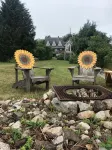Oceanfront cozy comfortable cottage! - 3-Star