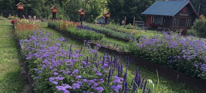 Gorgeous Mountain Top Cabin with Beautiful Views ジョンズバーグのホテル