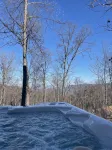 Secluded, Cozy Cottage in the Shenandoah Valley - 4-Star